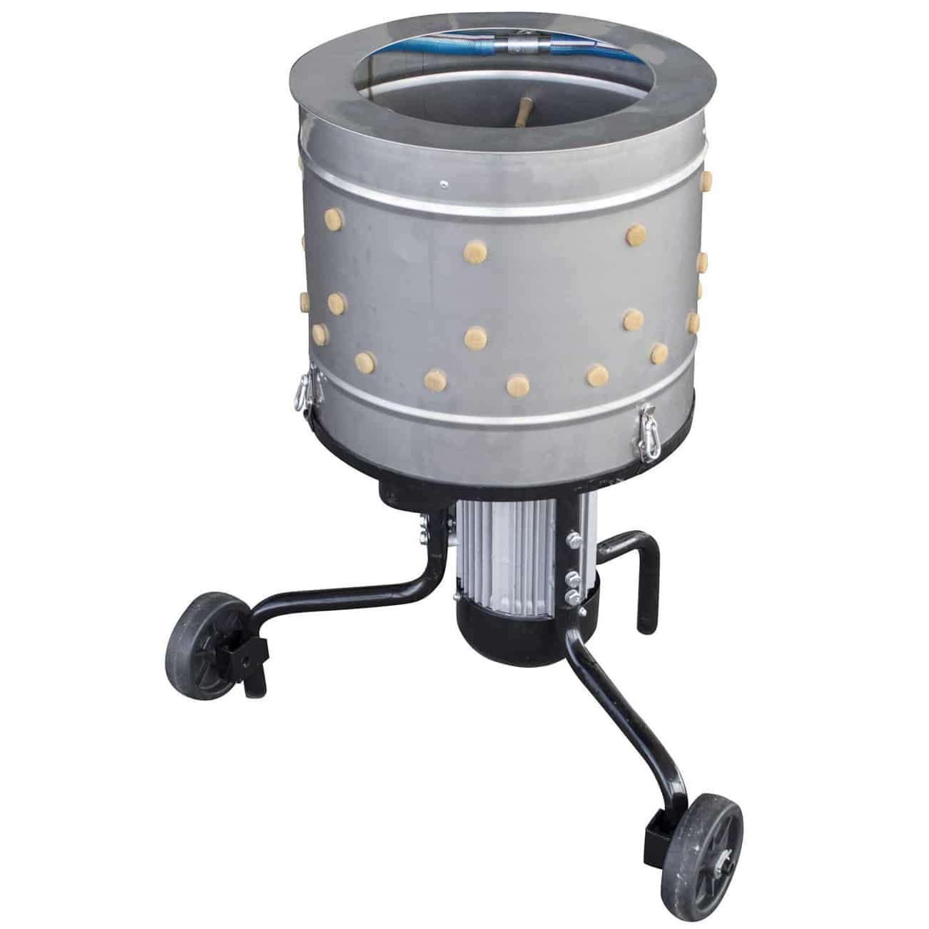 cách chọn gà đá hay nhất cách chọn gà đá hay nhất